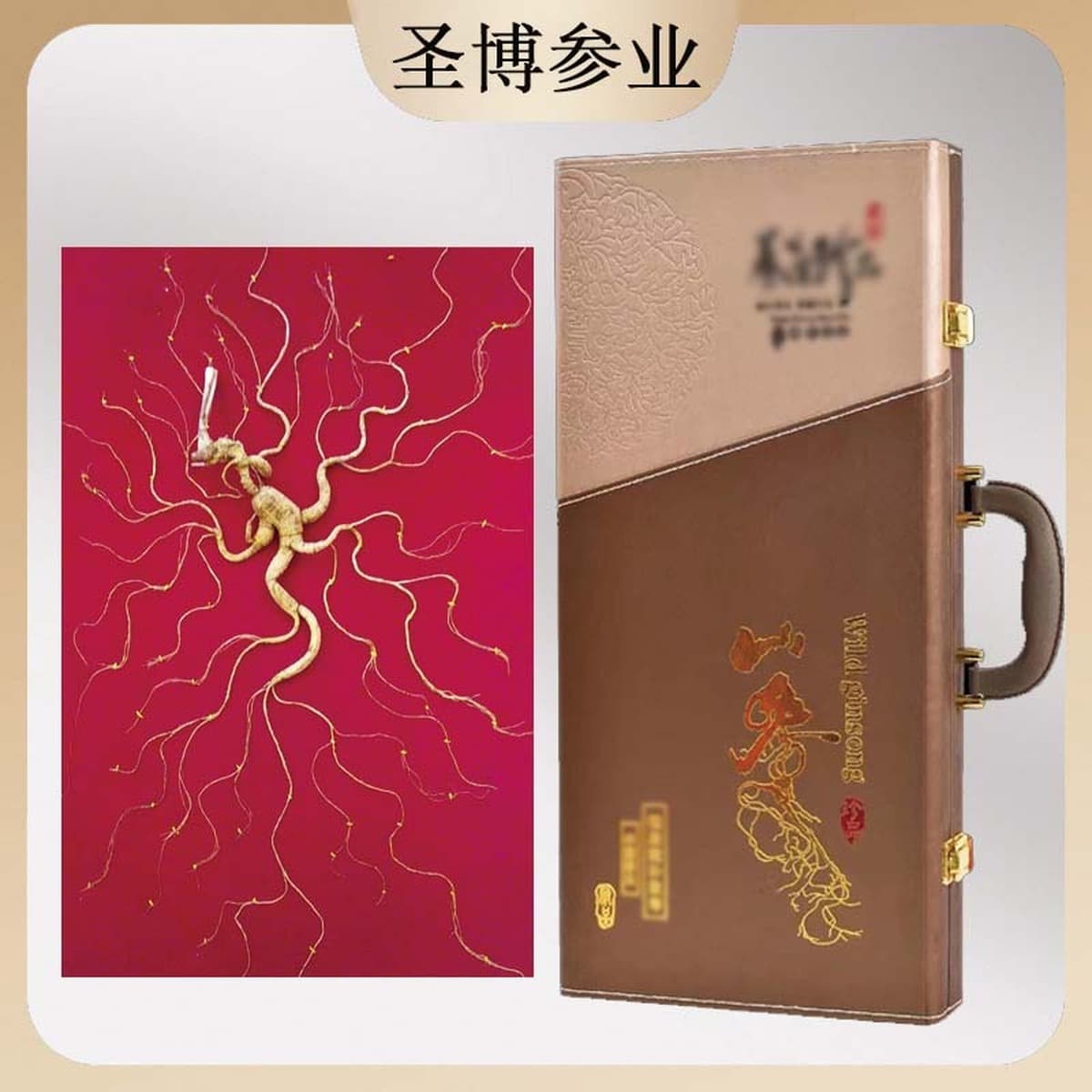 Оптовая Продажа с фабрики Чанбайский горный дикий женьшень с сертификатом 60 см в кожаной коробке пожилой лесной женьшень...