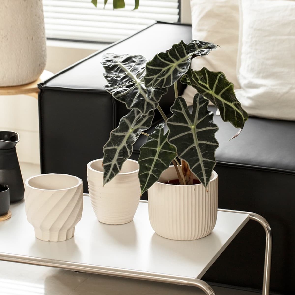 Экспорт простой творческой личности цемента большого диаметра цветочный горшок Интернет знаменитости зеленый горшок для...