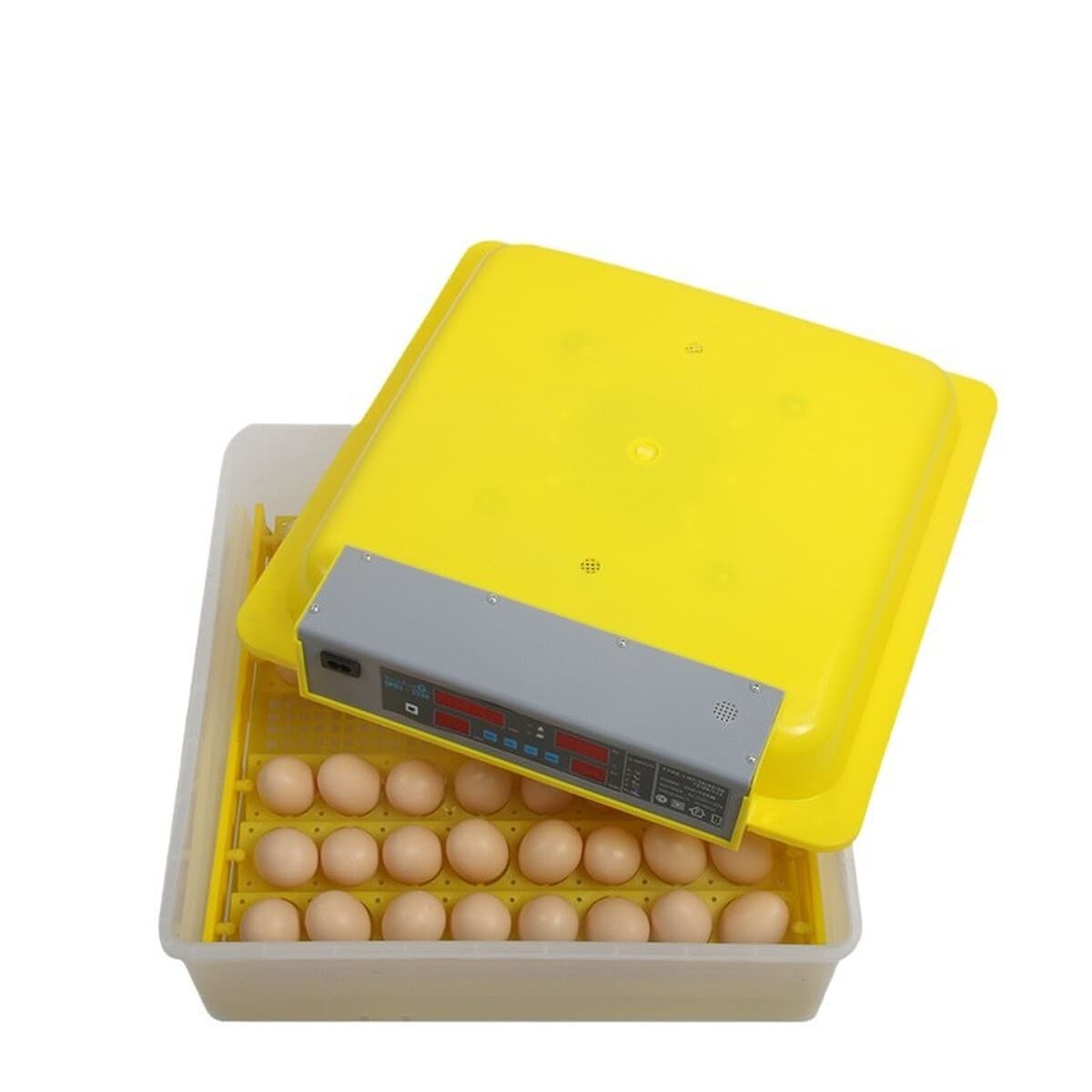 Автоматический инкубатор для внешней торговли с постоянной температурой, инкубационный бокс для разведения, автоматический...