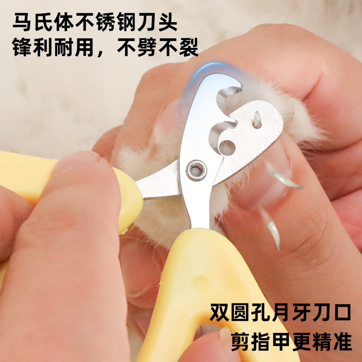 Сыр маленький слепой стрижка кошачьей ногти ножницы собачьей собаки