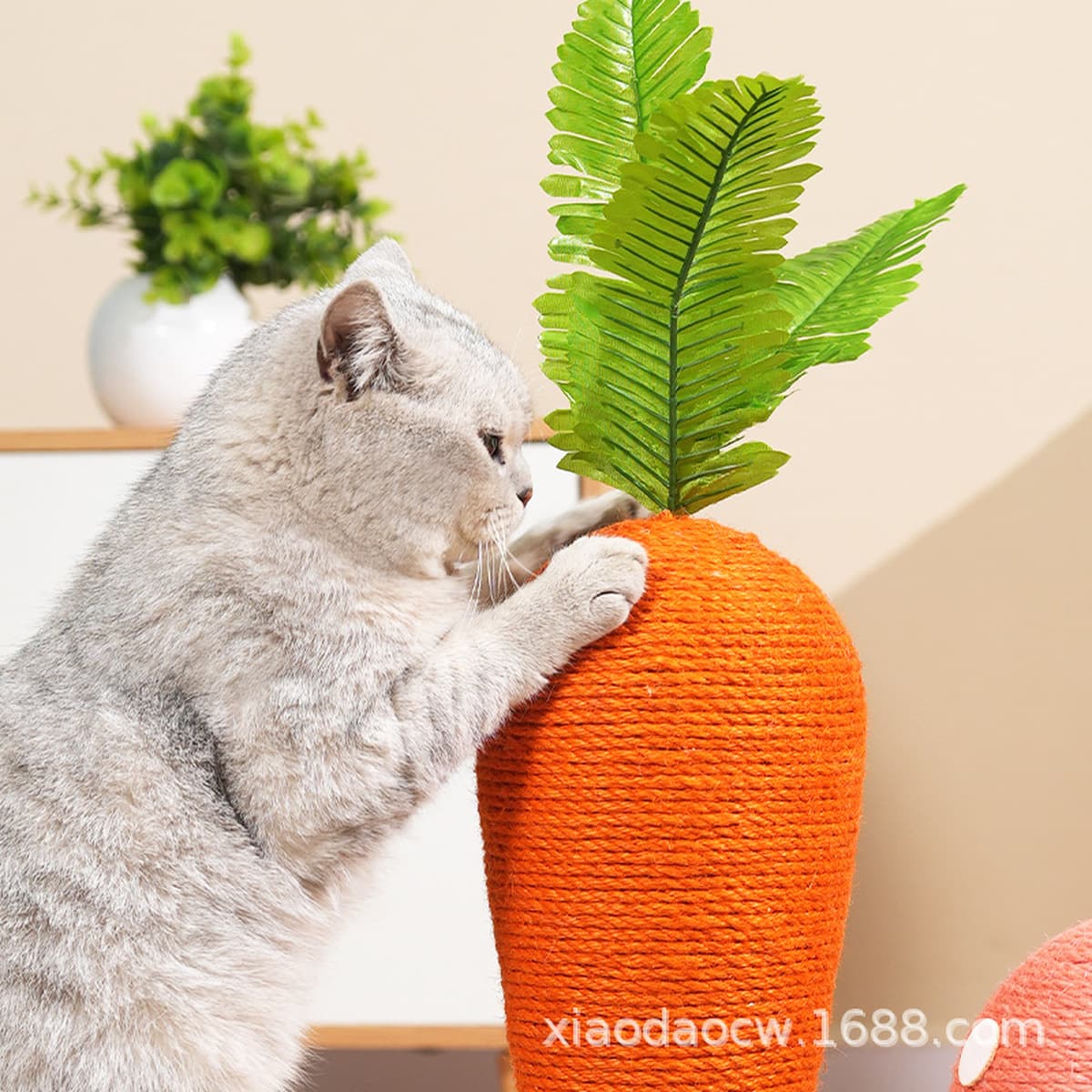 Морковная кошачья тарелка вертикальная, устойчивая к истиранию