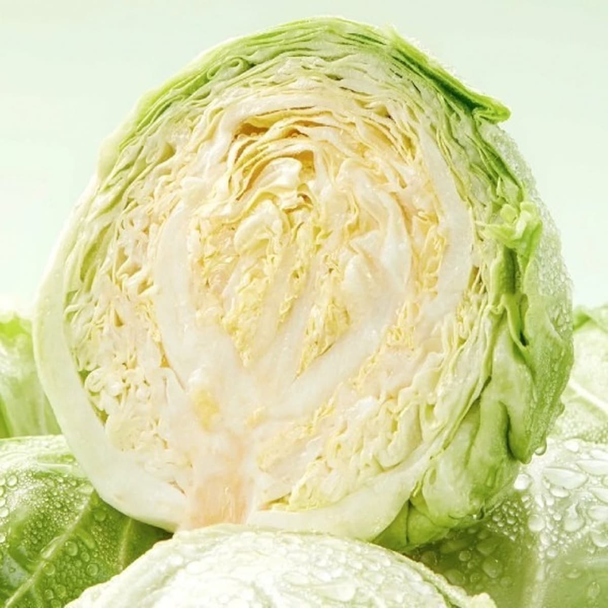 Лакомства для животных: сублимированная капуста (спора), маленькая капуста, лакомства для кошек и собак, для щенков и...