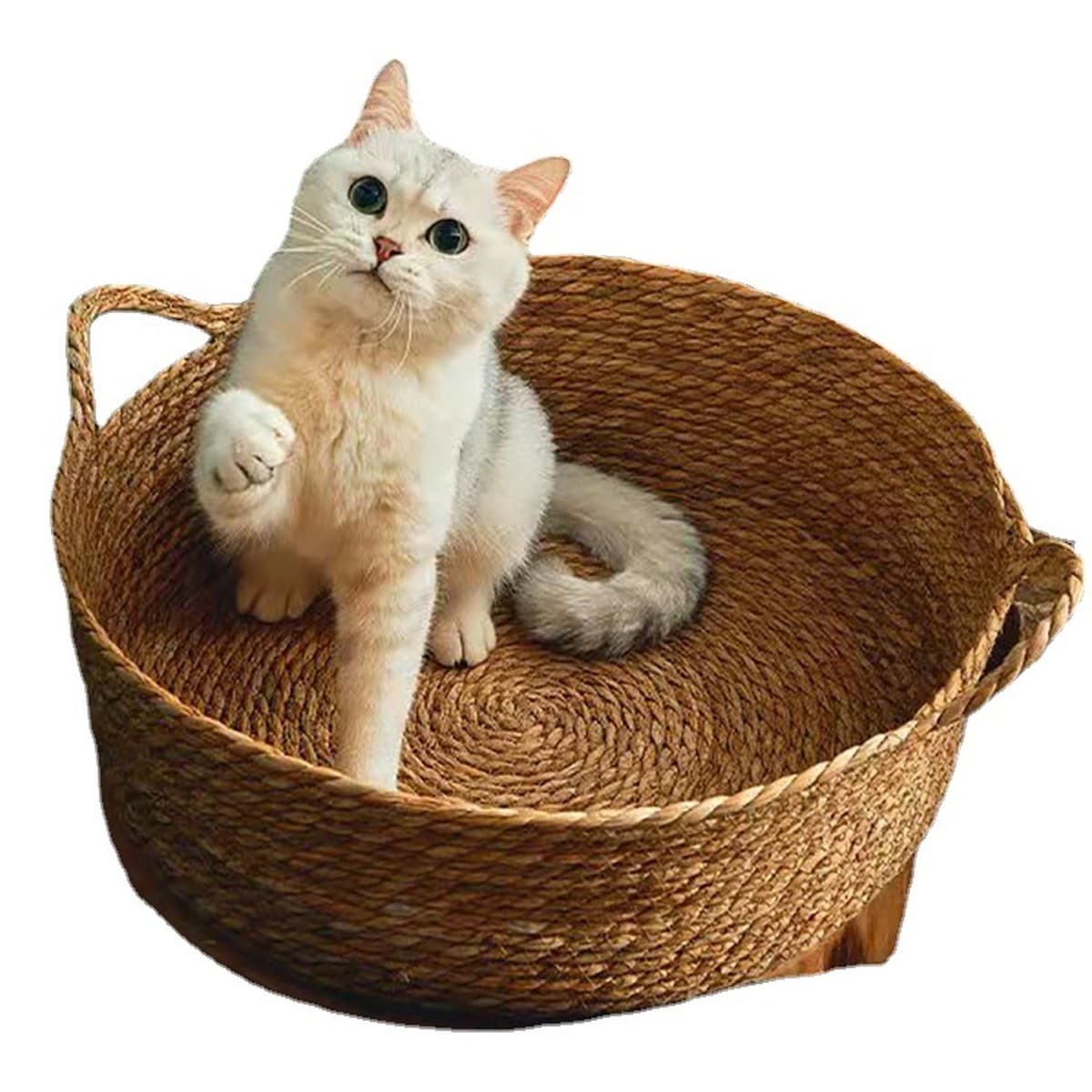 Ротанговое кошачье гнездо Four Seasons Универсальный кибер-знаменитость Зимний теплый кашпо Кошачья кровать Кошачья...
