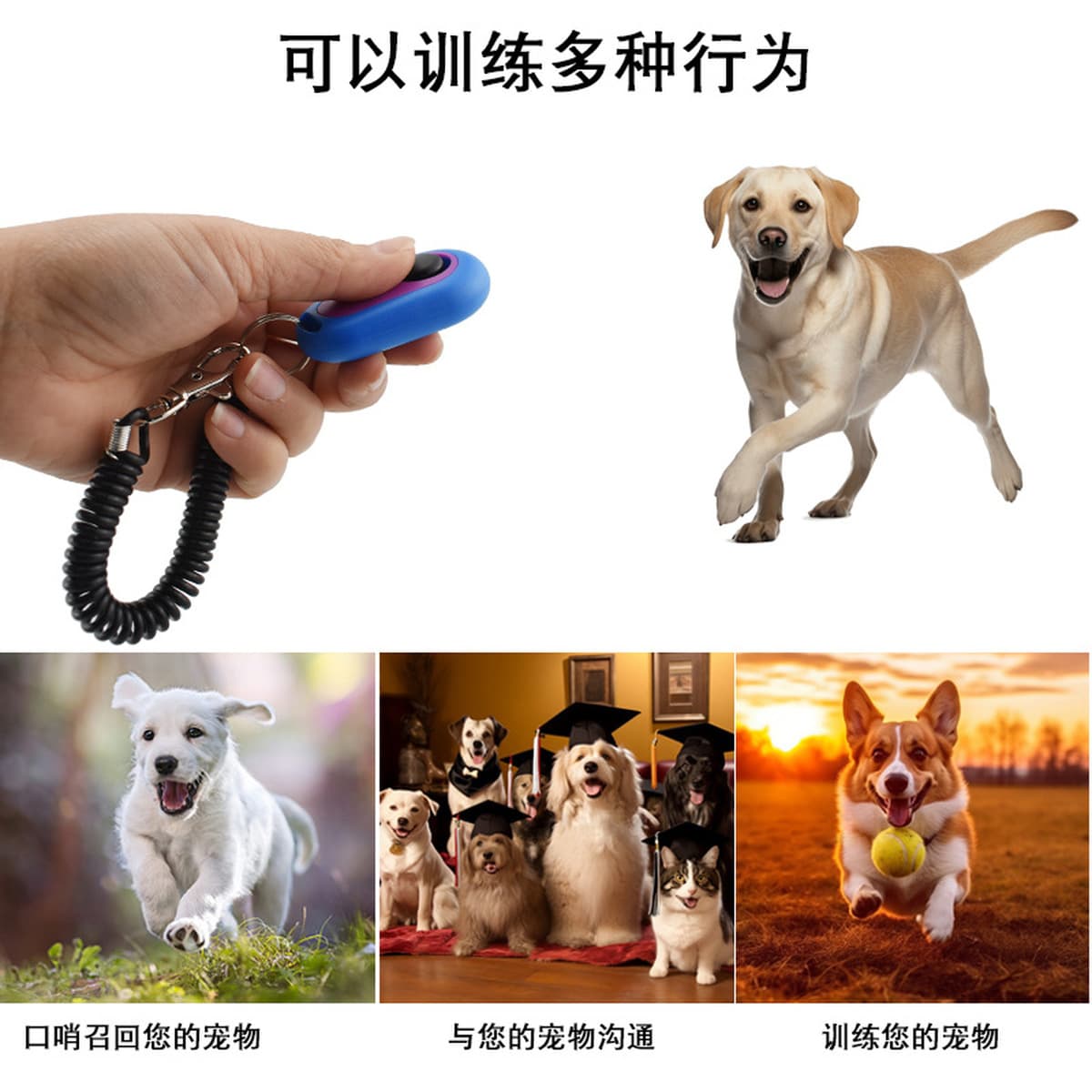 Новое оборудование для дрессировки собак Amazon