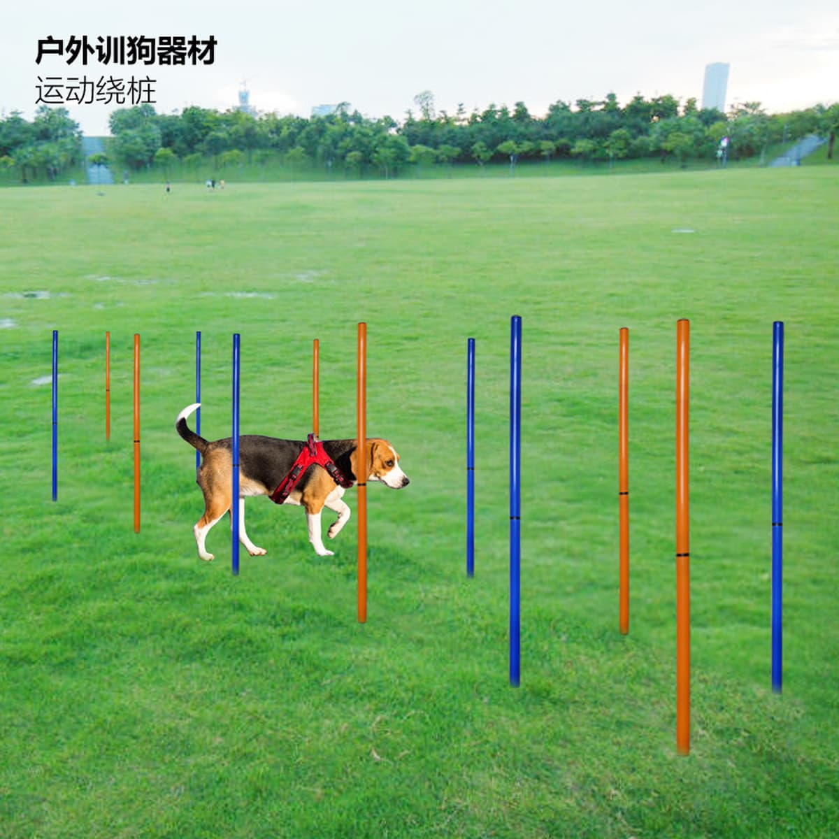Поставки для домашних животных Собаки прыгающий прыгающий стержень прыгающий тренировка чувствительность Собака на открытом...