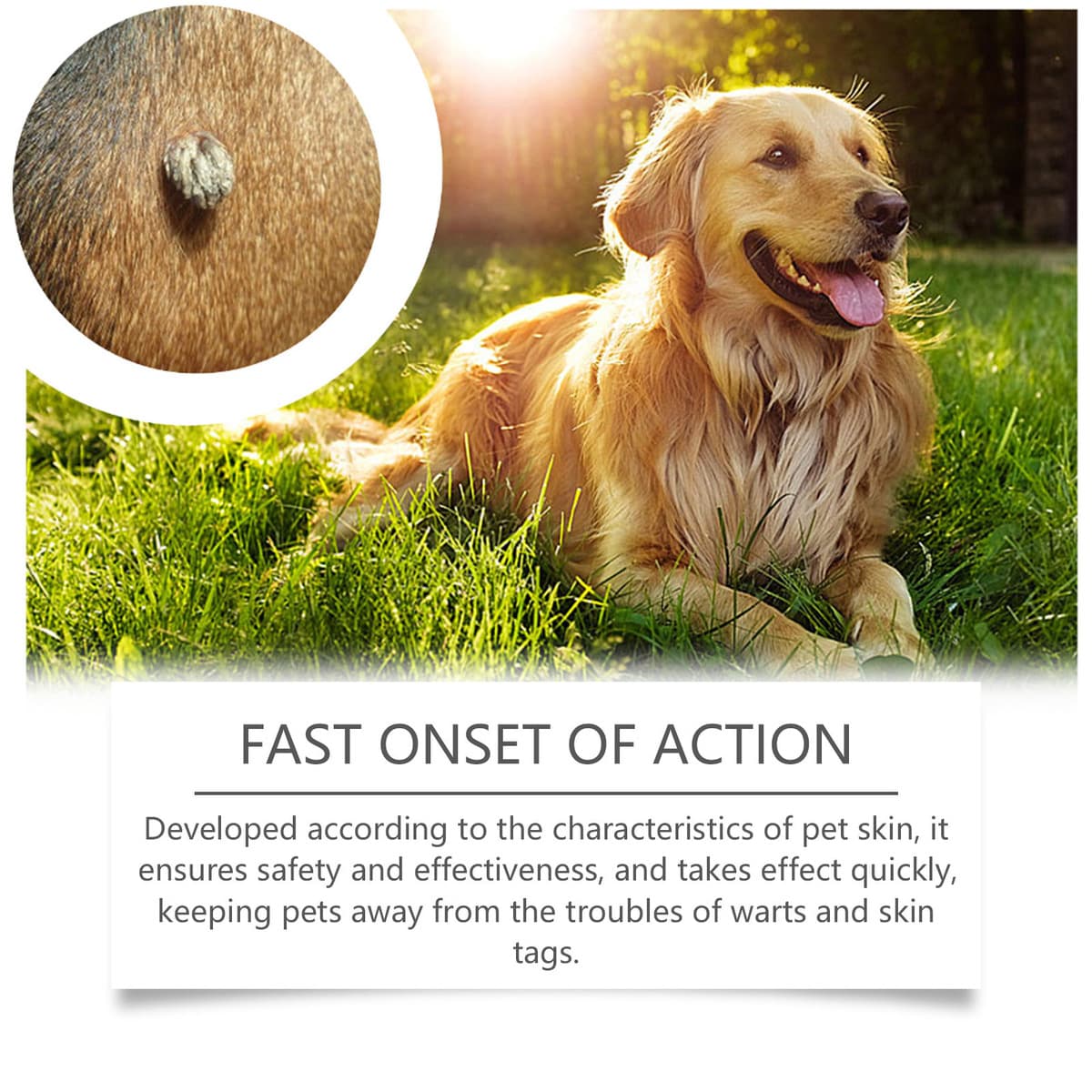 YEGBONG Домашние животные Кью жидкость Домашние животные собаки кожи этикетки для очищения мясных гранул бородавки...