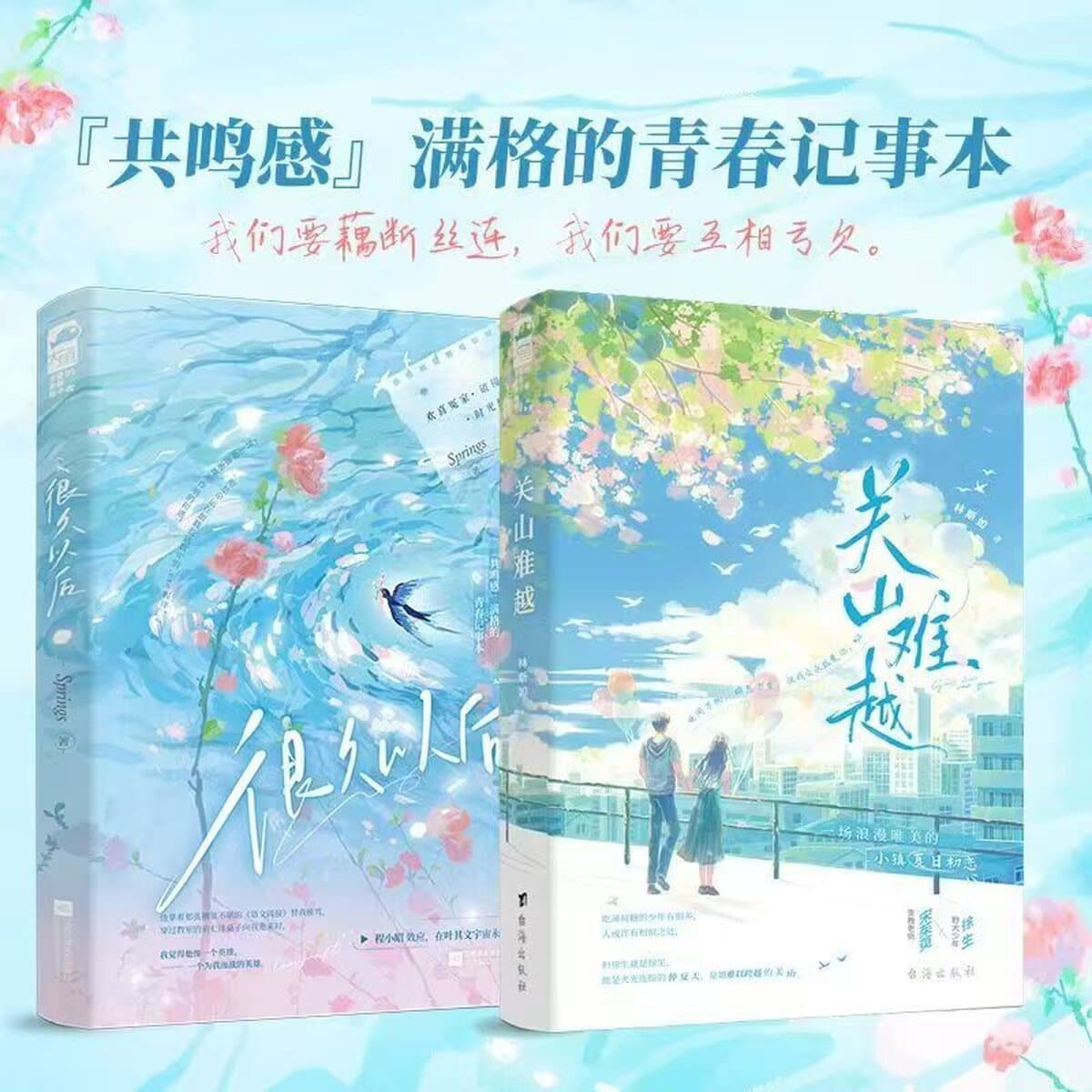 Романтическая повесть «Красота кампуса» Наша весна + Ты нарушил свое обещание Два тома, купленные по всему школьному зданию