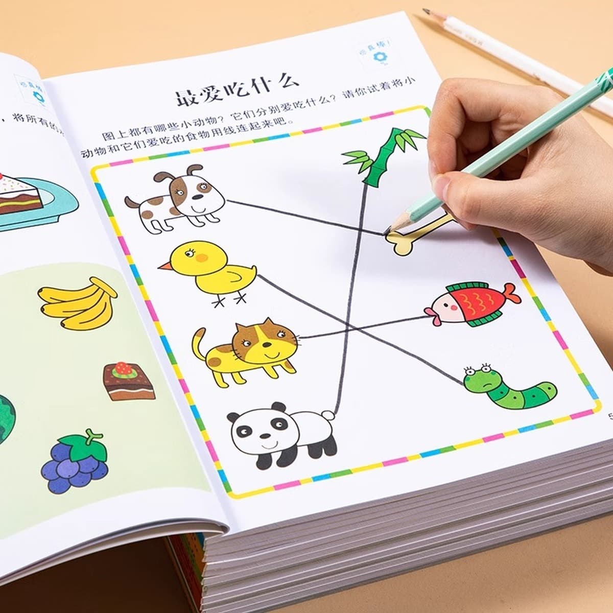 Учебная книга по логике мышления 2-3-4-6 лет 5 головоломок дошкольное обучение