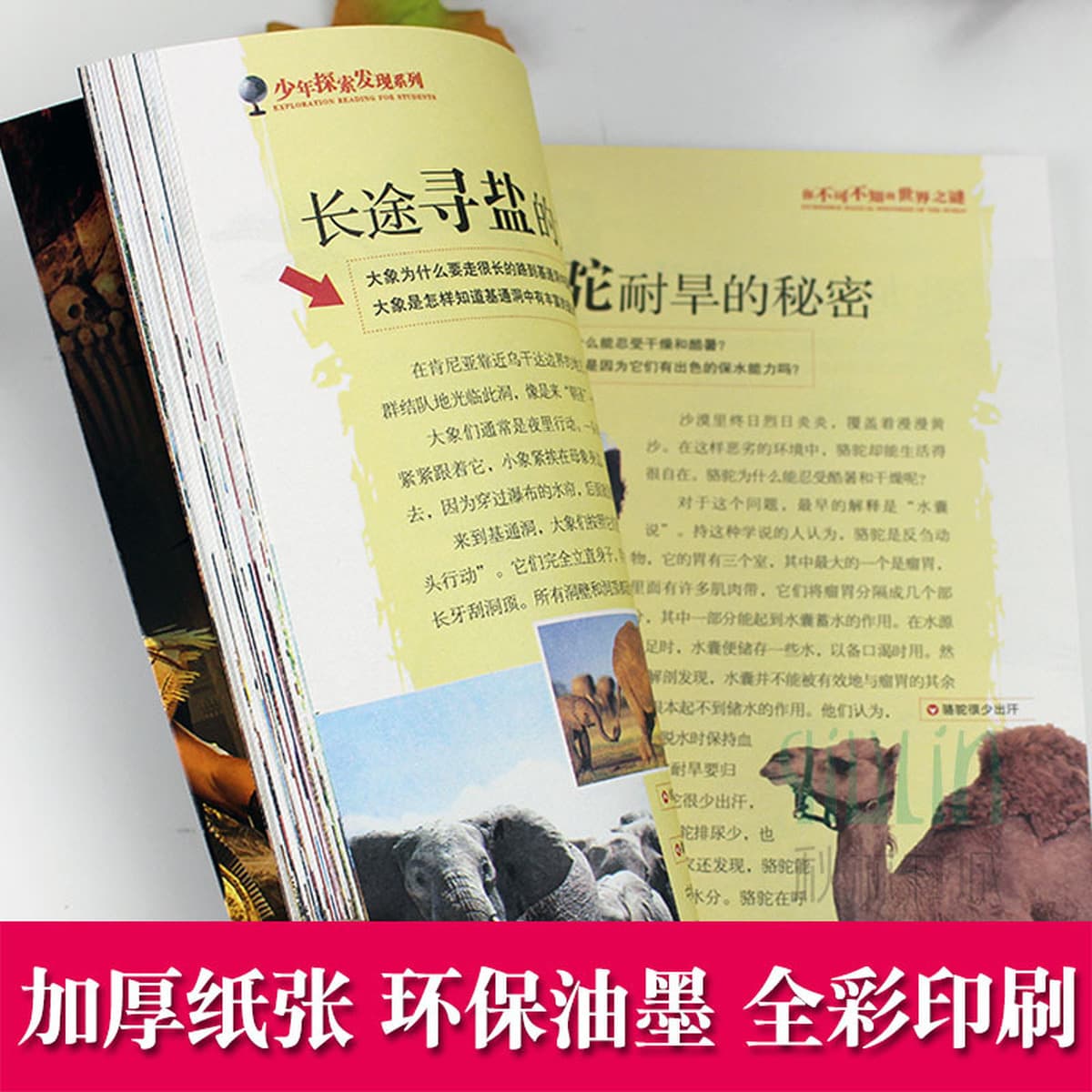 Неразгаданные тайны мира для учеников начальной школы Молодежная серия «Открытия» Детская энциклопедия Научно-популярные...