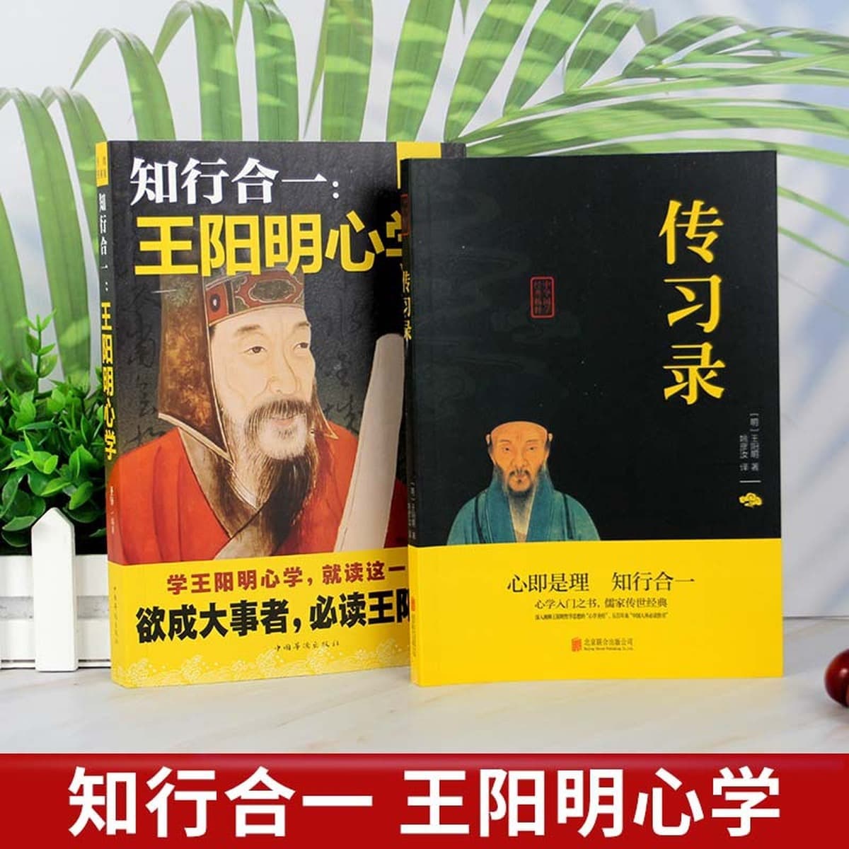 Все 2 книги исследования сердца Ван Янмин, чтение, философия жизни, понимание, мудрость Дачэн, китайские исследования,...