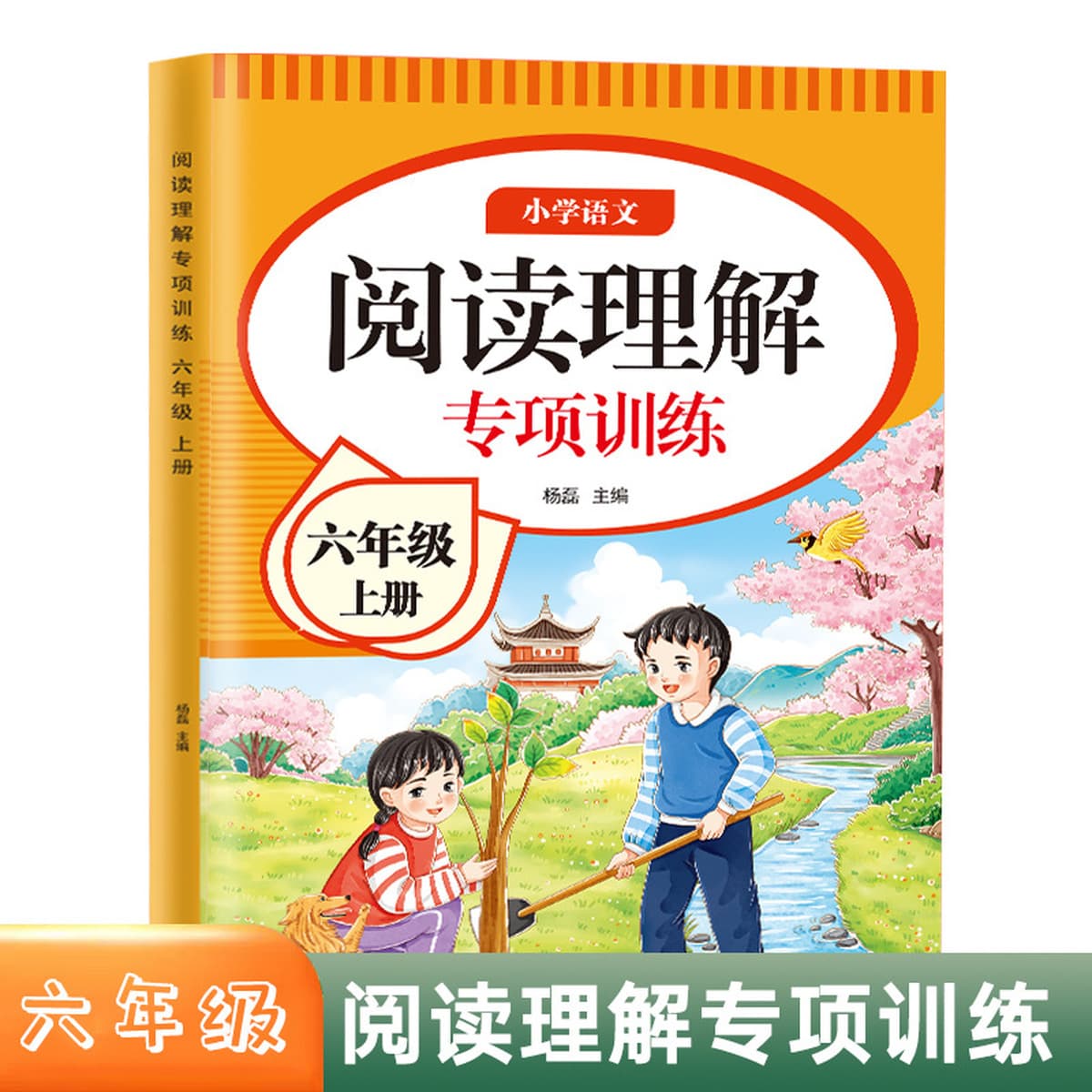 Специальное обучение пониманию китайского языка в начальной школе