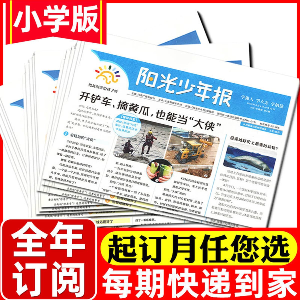 Годовая подписка на 25-летние восточные куклы Любопытство