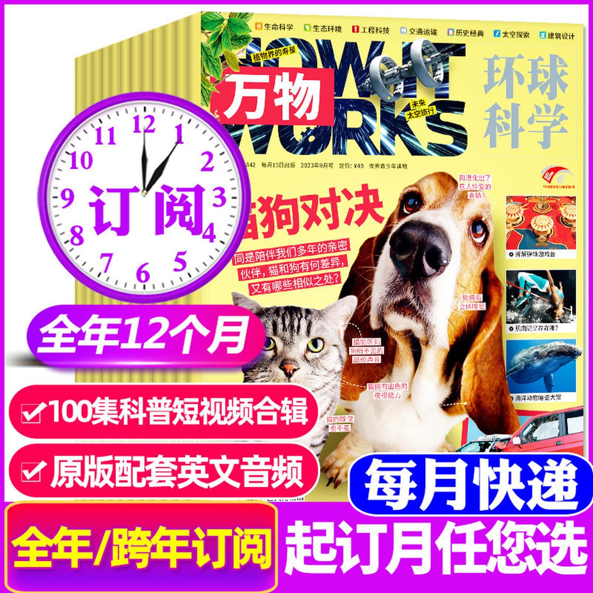 Годовая подписка на 25-летние восточные куклы Любопытство