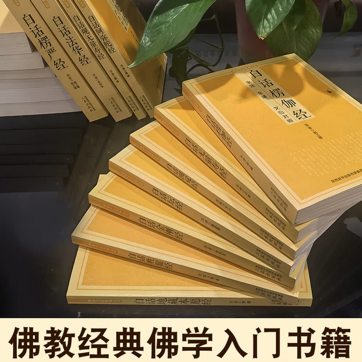 Полные аннотации и переводы буддийских священных писаний на китайском языке, сравнение с Сутрой Махавайраканы, буддийской...