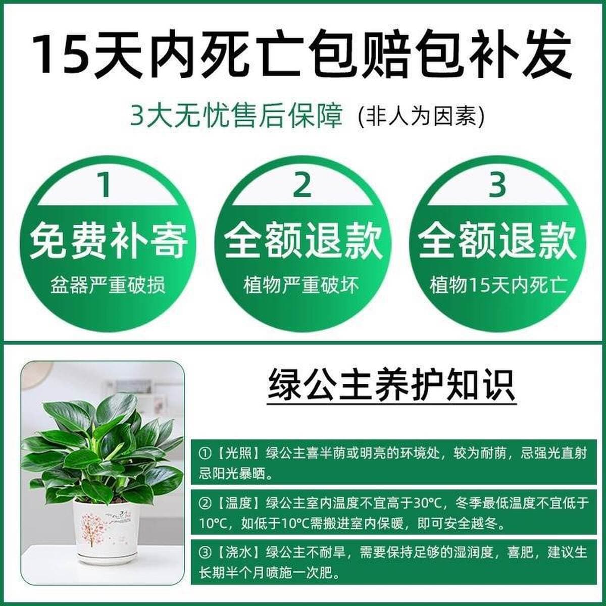 Золотистое растение в горшке, имитирующее платиновый бриллиант, с крупными зелеными листьями, гидропонное, суккулент, легко...