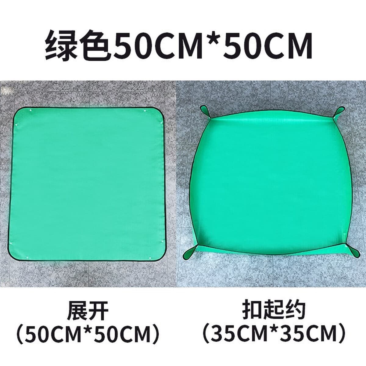 База собственного производства и продажи суккулентов оптовая продажа небольших суккулентов