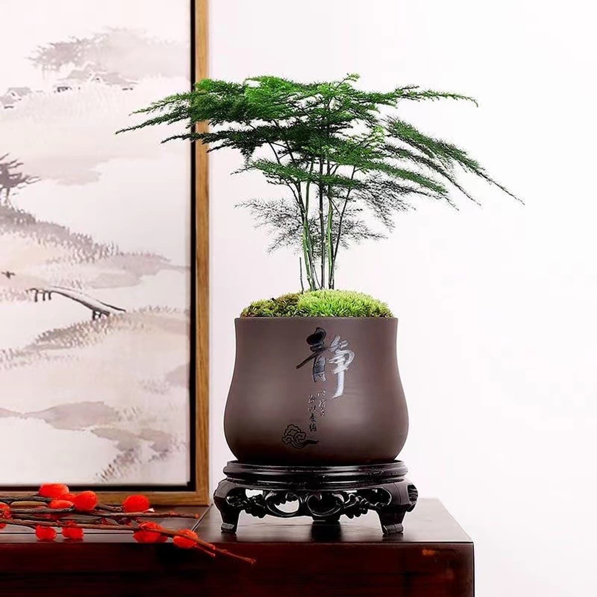 Спаржа горшечные растения Комнатные цветы и растения гостиная поглощают некоторое количество альдегида бонсай офисный...