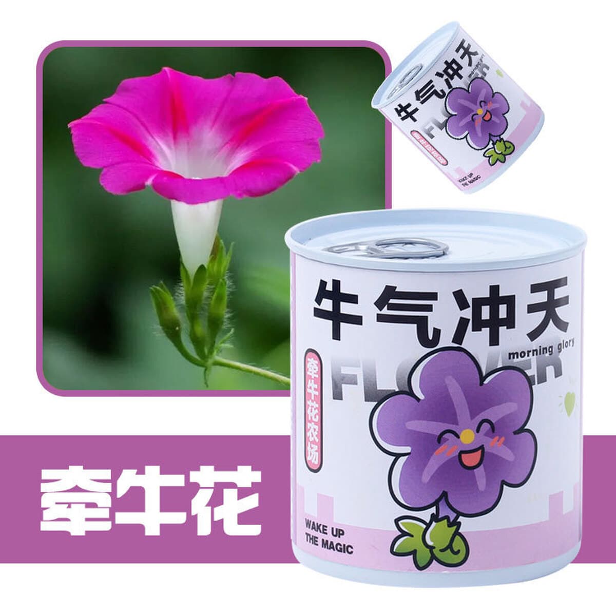 Наборы для выращивания растений в банках, цветы и растения в горшках, подарки для садоводства, выращивание фруктов для...