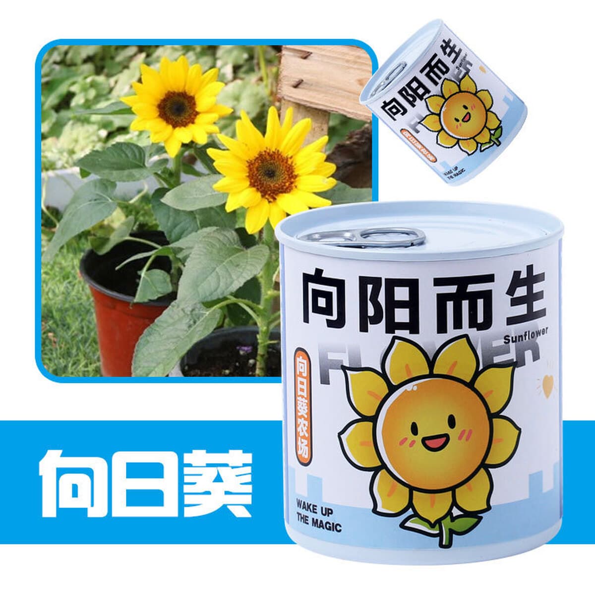 Наборы для выращивания растений в банках, цветы и растения в горшках, подарки для садоводства, выращивание фруктов для...