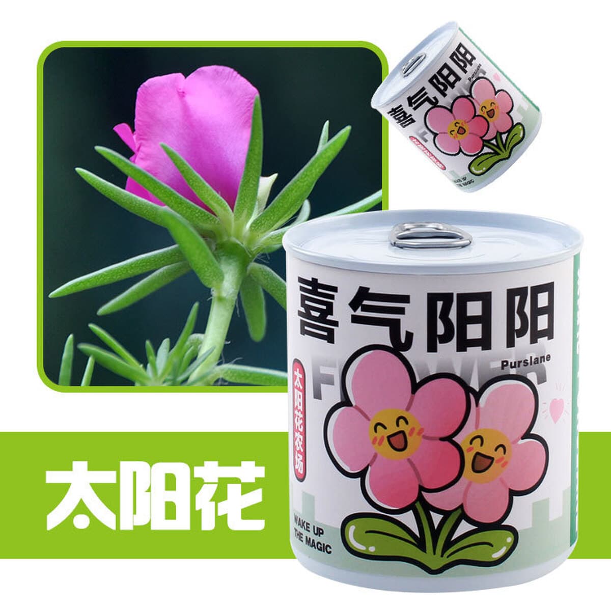 Наборы для выращивания растений в банках, цветы и растения в горшках, подарки для садоводства, выращивание фруктов для...