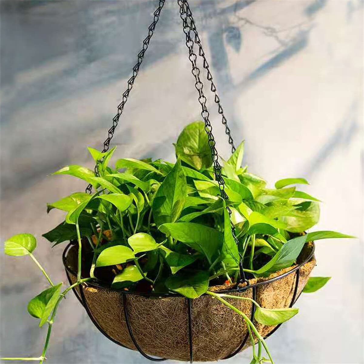 Кованое железо подвесная корзина цветочный горшок Цветочная стойка подвесной крючок стойка подвесной пол зеленый розовый сад...