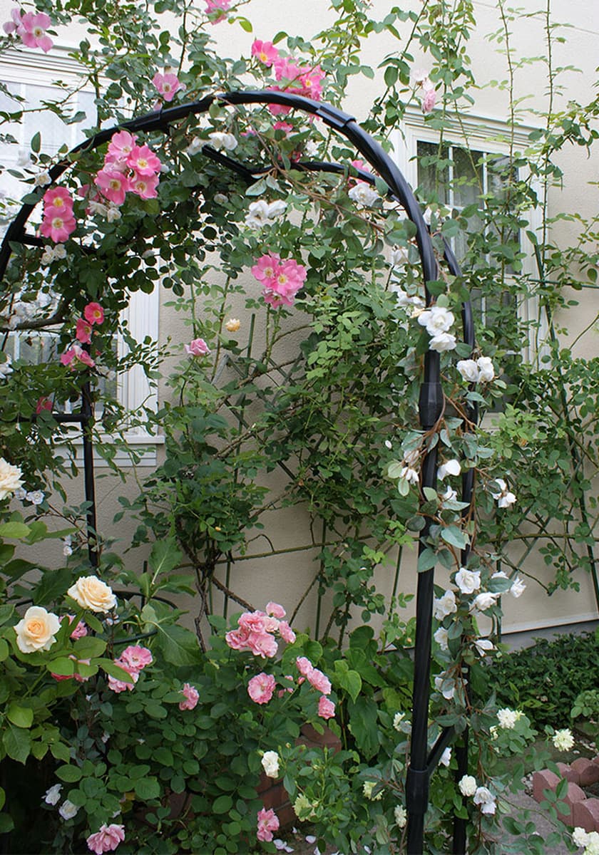 Арка для роз, цветочная подставка, пергола для вьющихся растений, садовая арка для роз, уличная арка-полка для вьющихся...