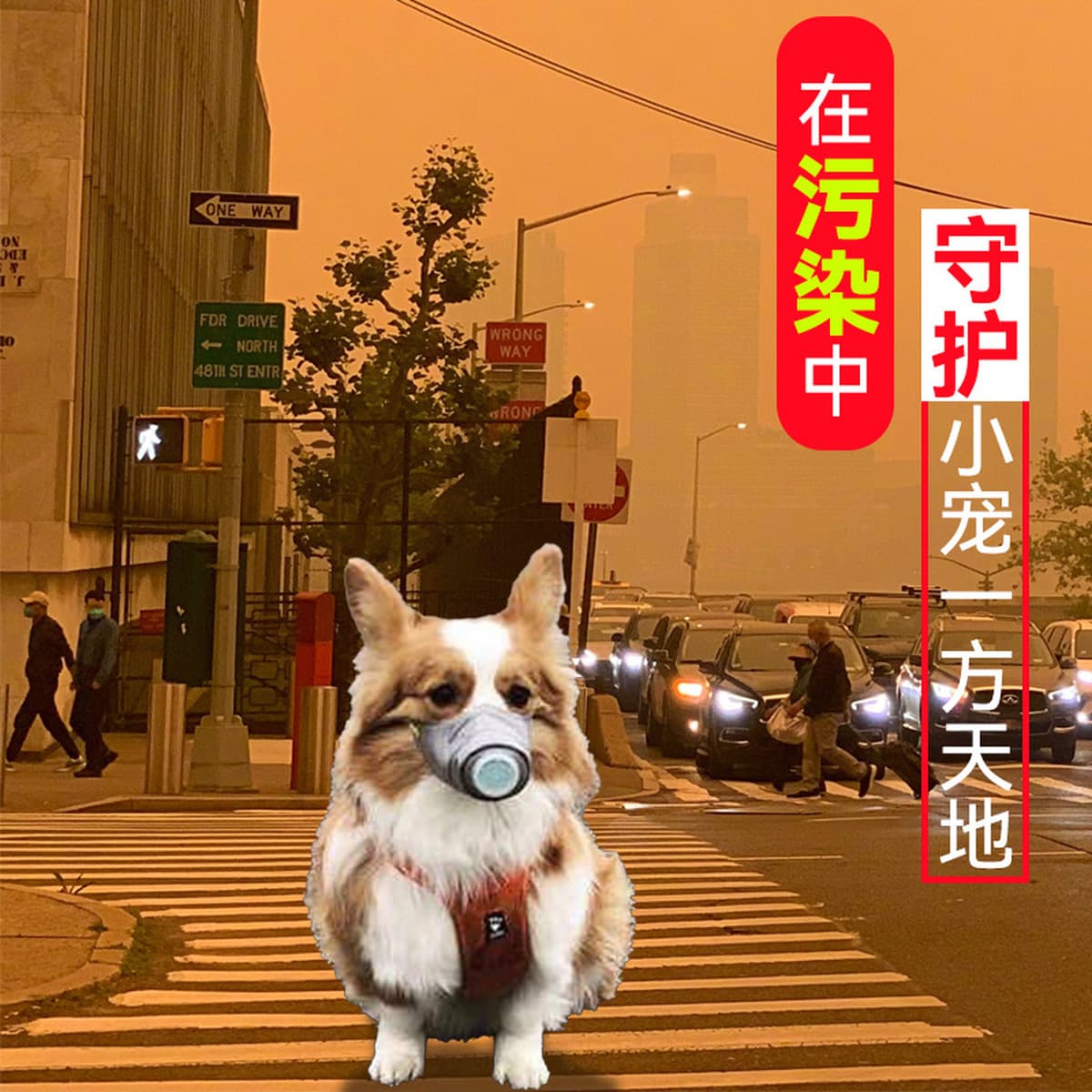 Маска для домашних животных против дымки, загрязнения, Пыленепроницаемая, защита от лая, намордник для собак, маска для...